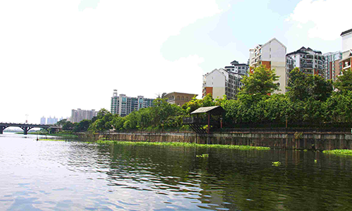 “留精去糙”在原有綠地基礎(chǔ)上打造景觀