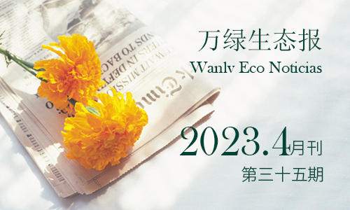 萬(wàn)綠生態(tài)報(bào)第三十五期